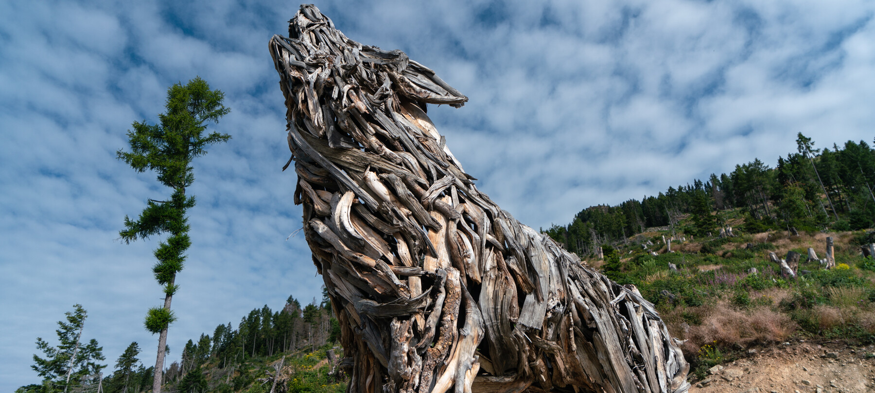 Sentiero della Pace: tratto 6 | Valsugana e Lagorai