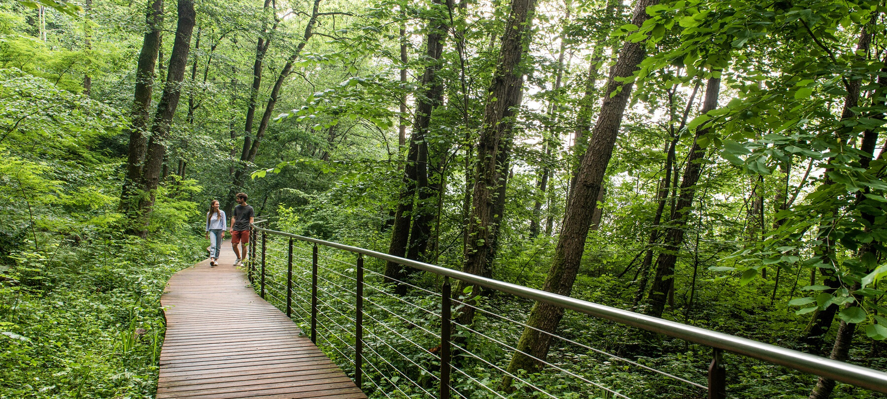 Sentiero della Pace: tratto 6 | Valsugana e Lagorai