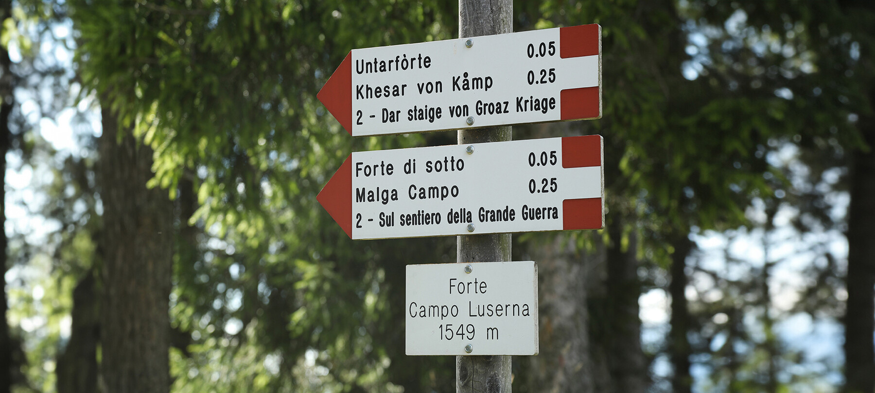 La genesi del Sentiero della Pace