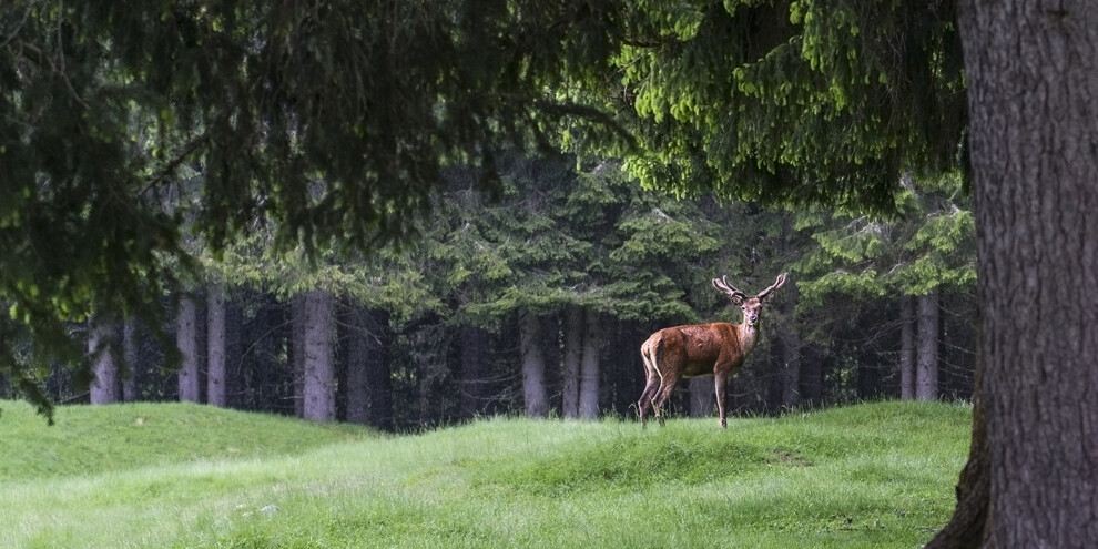 Parchi Naturali