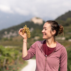 Białe trydenckie grona