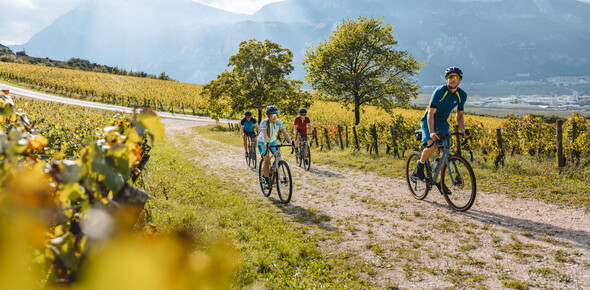 Dolomiti Paganella - Piana Rotaliana -  | ©  Mathäus Gartner