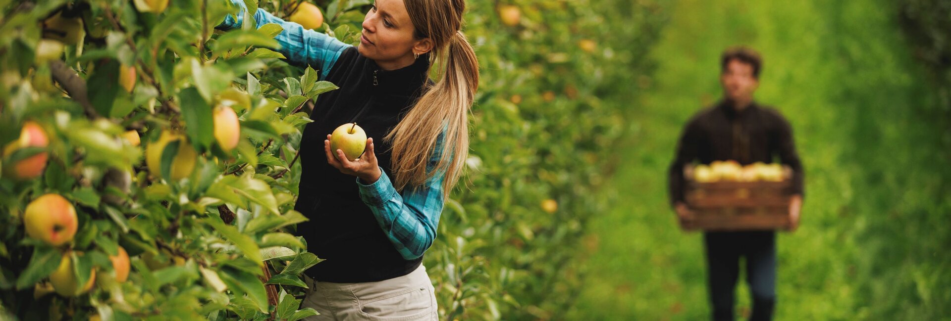 Валь-ди-Нон