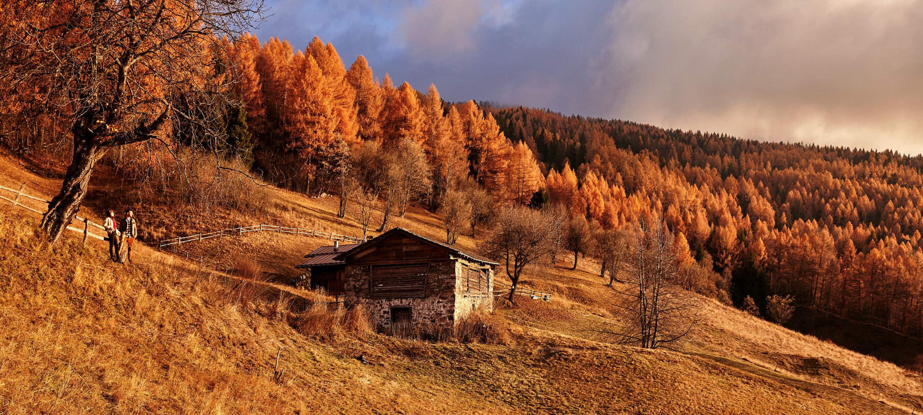 Valle dei Mòcheni: Tra Masì, Miniere e Tradizioni Alpine: Valle dei Mòcheni: Tra Masì, Miniere e Tradizioni Alpine