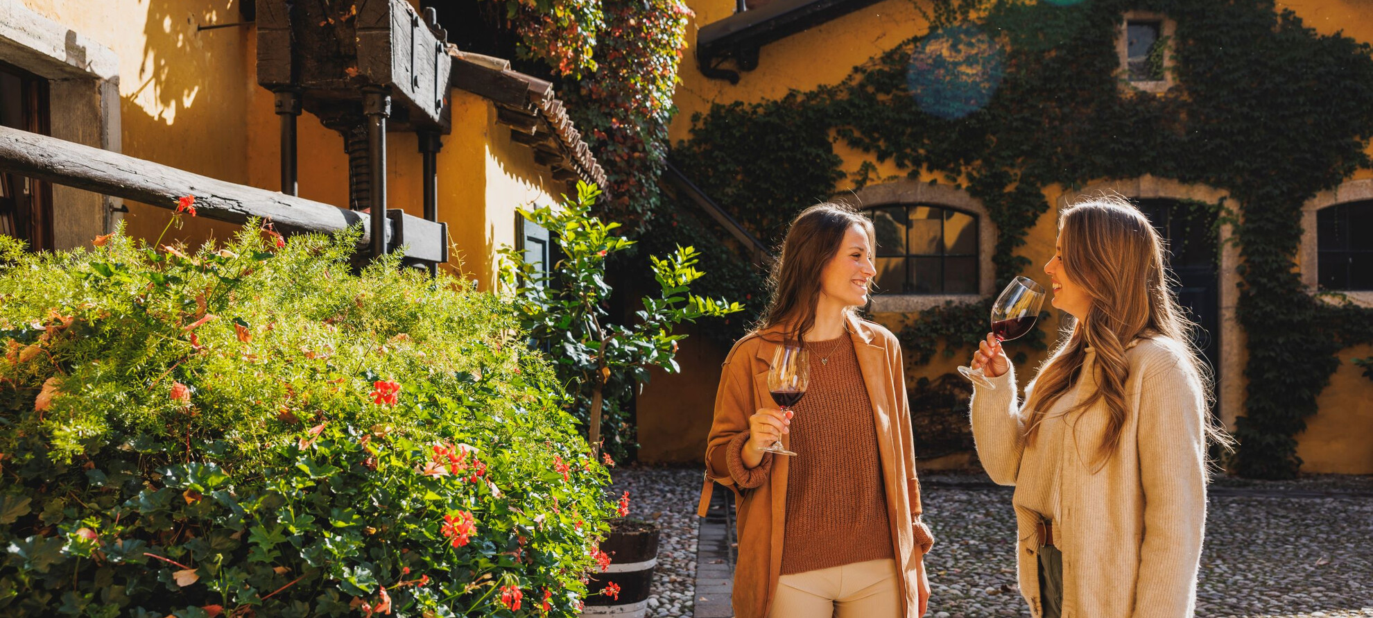 Art among the vineyards