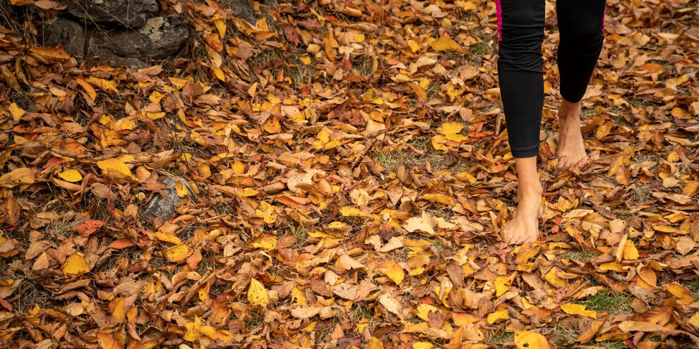 Естественное здоровье