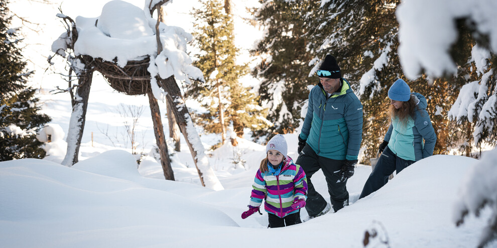 Auf der Suche nach den Drachen des Latemar