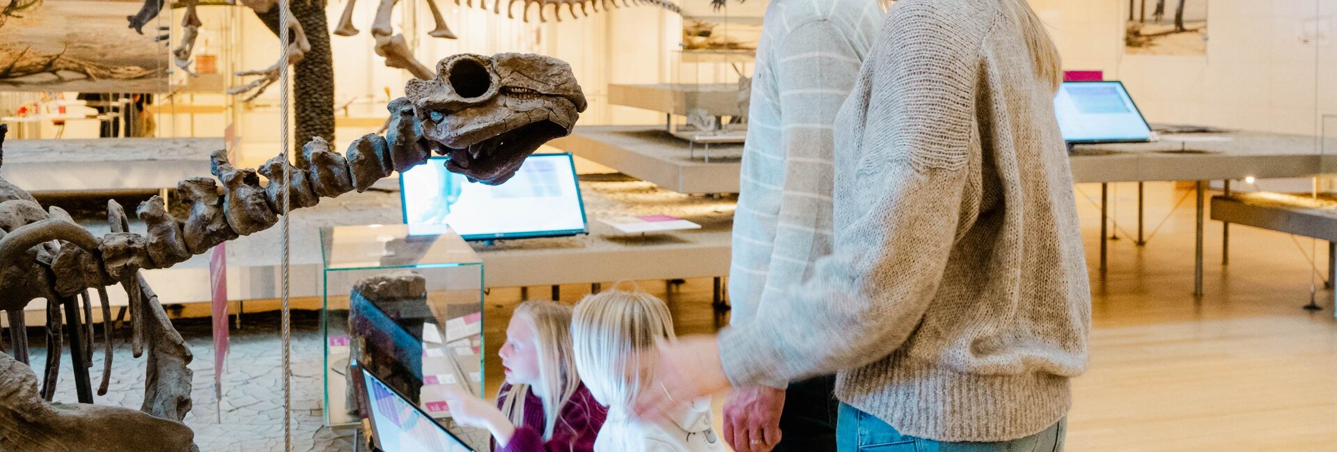 Trento, Monte Bondone e Altopiano di Piné