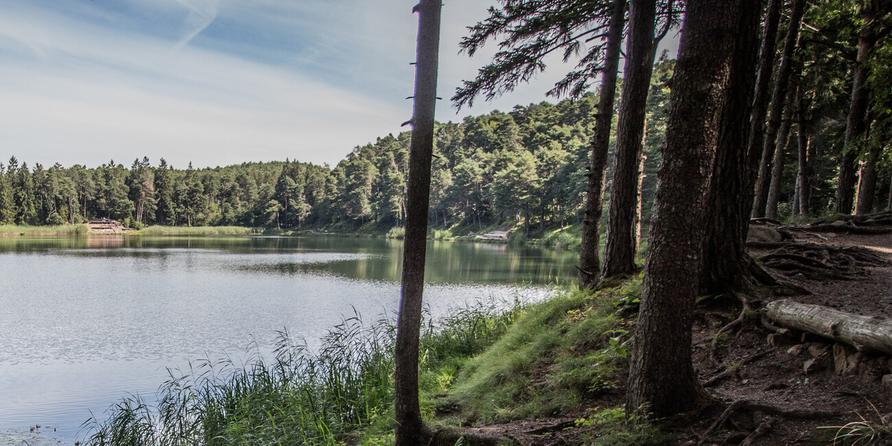 Meer van S. Colomba  #3