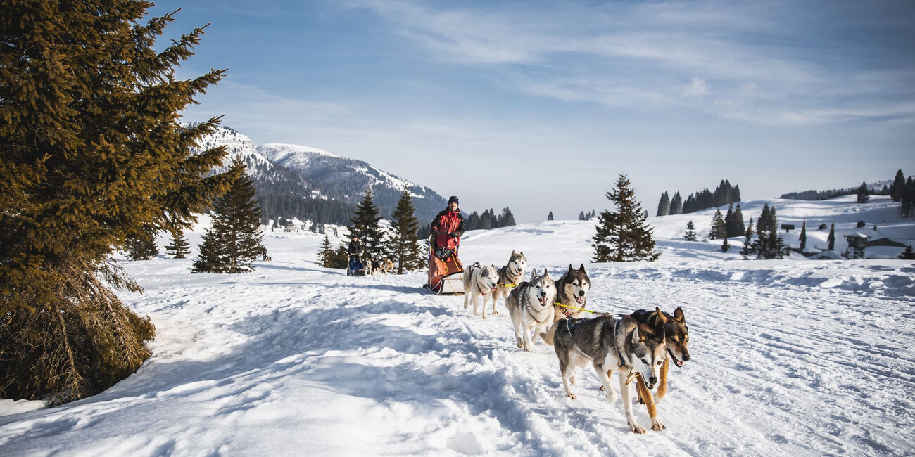 Botanische tuin van Passo Coe  #1