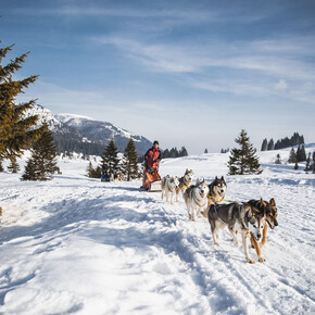 Giardino botanico di Passo Coe 