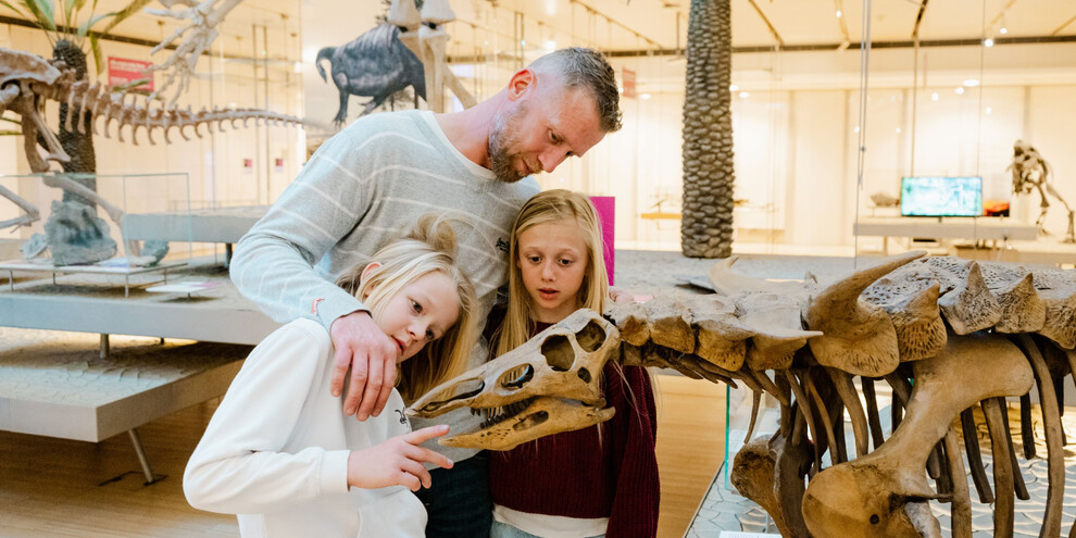 Muse в Тренто