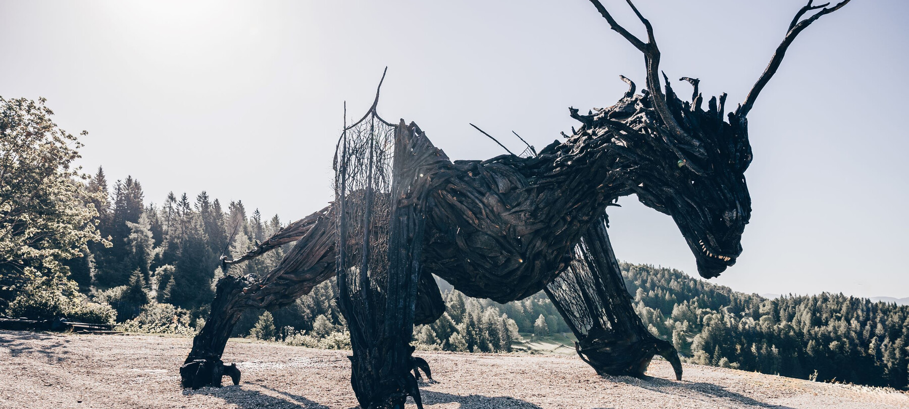 Geflügelter Drache Vaia: Alles für deinen Besuch