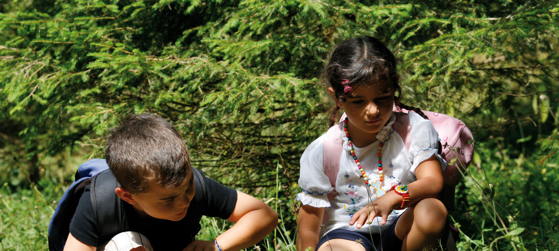 W Alpe Cimbra latem z dziećmi – na tropie smoka