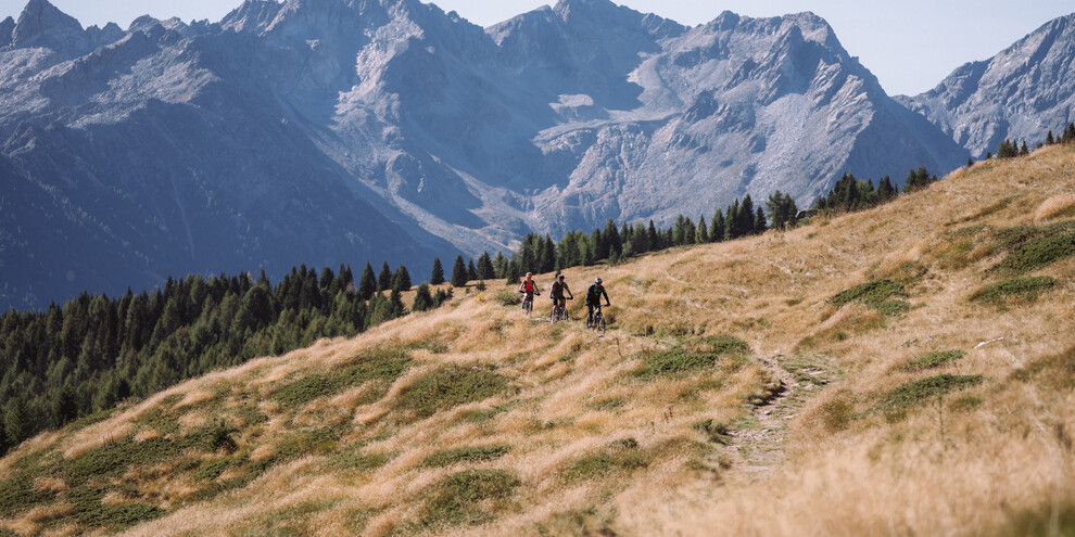 Trail Malga Campo N°707, Val di Sole