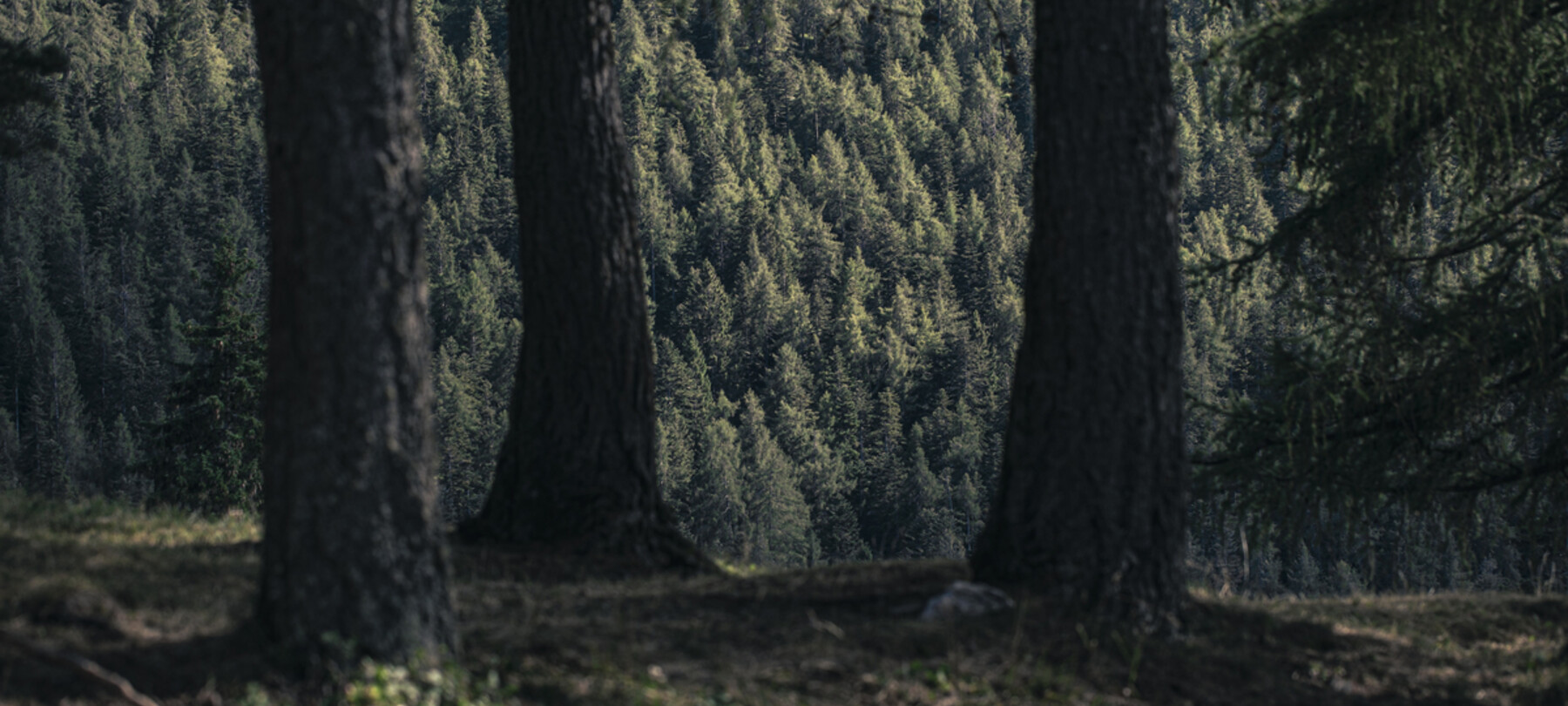 A Sustainable Val di Non 