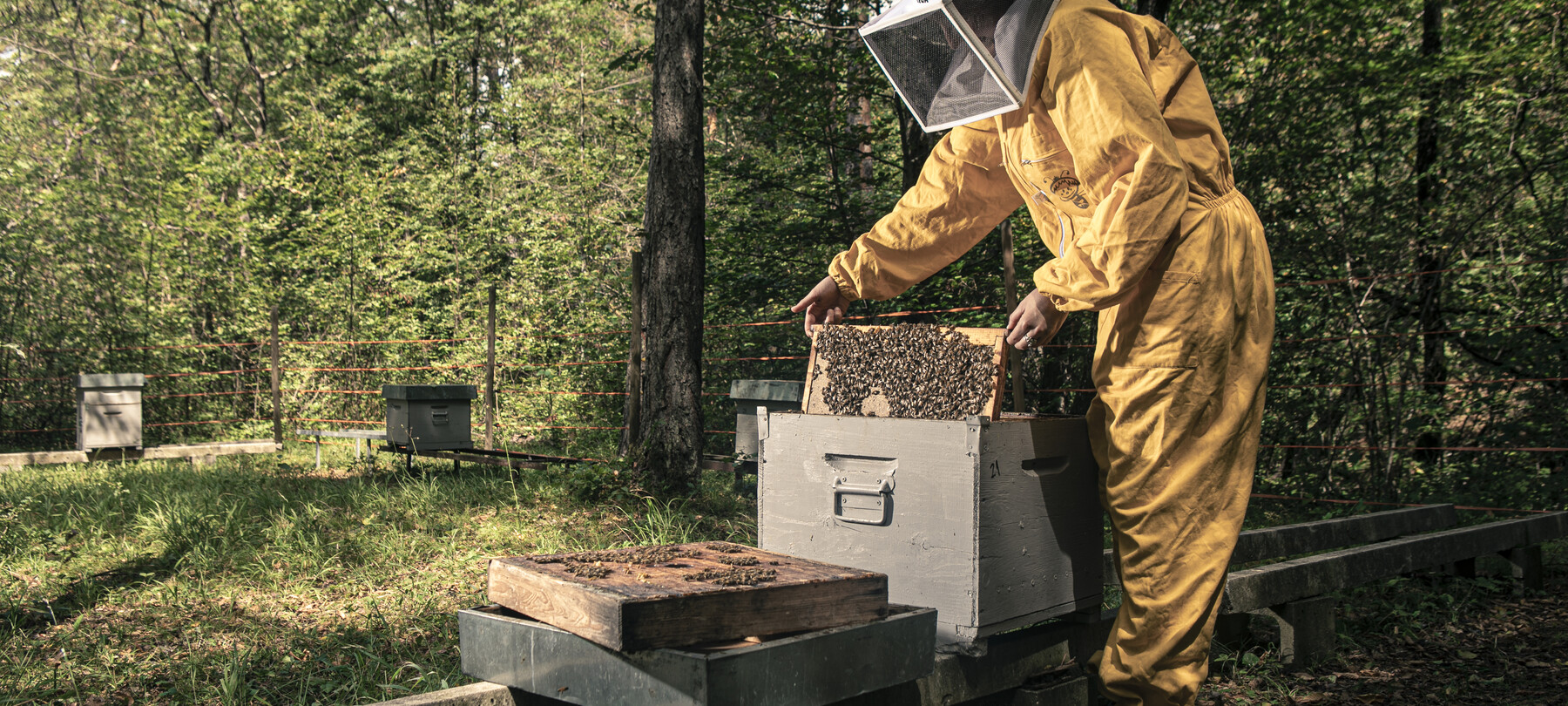 A Sustainable Val di Non 