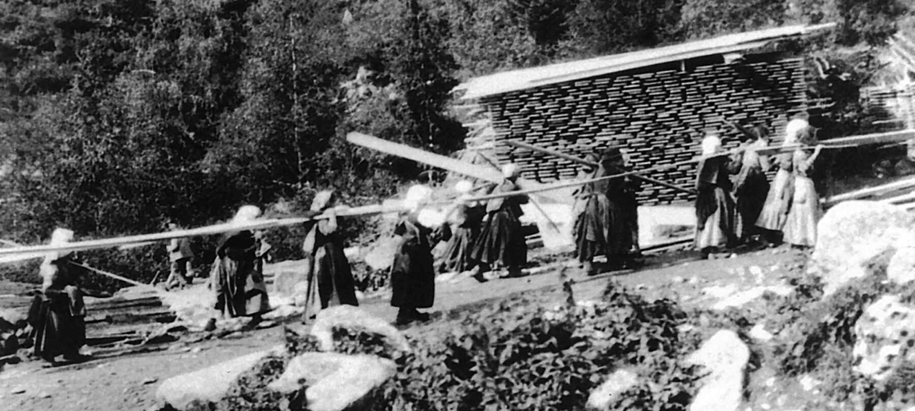 Rarissima foto d'epoca delle Portatrici Adamelline nel 1915