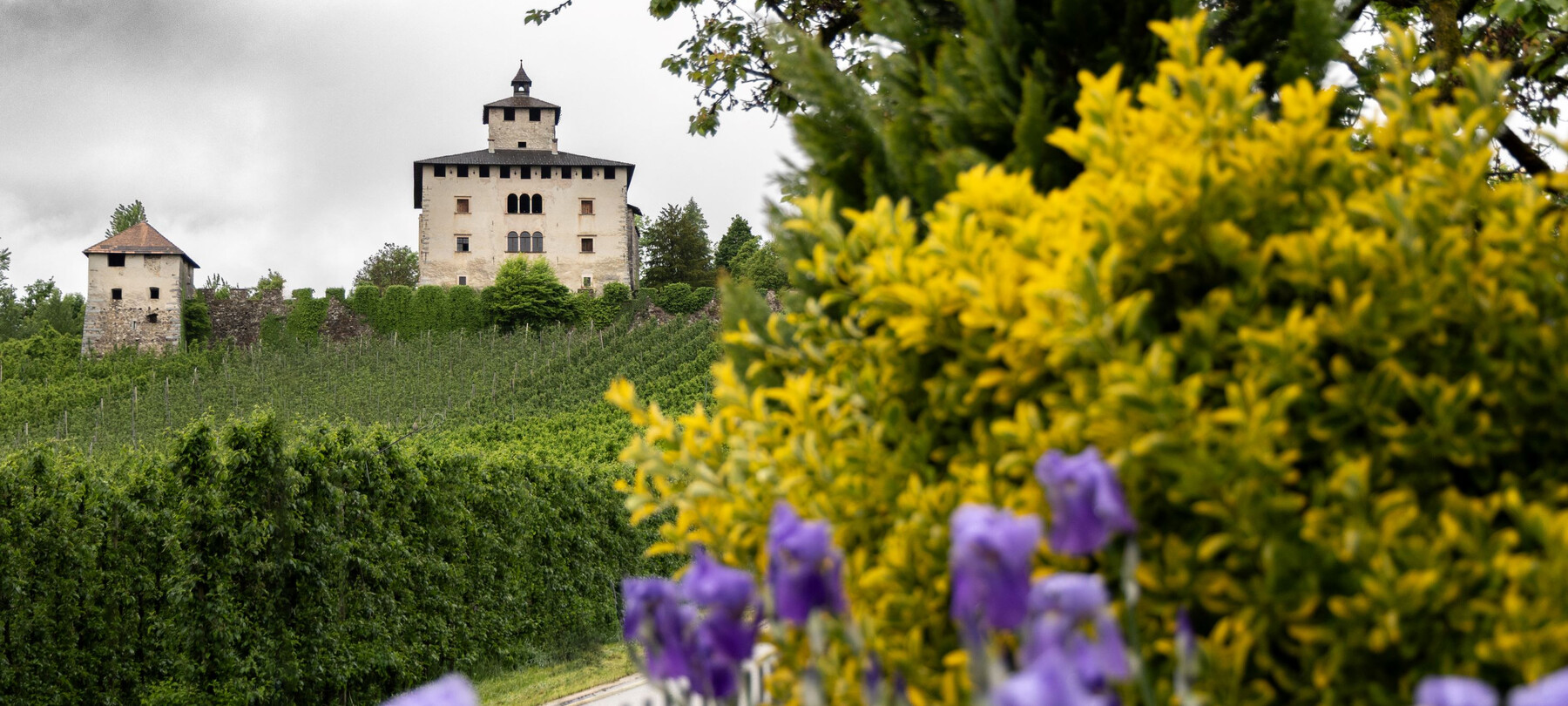 Il processo alle streghe di Coredo a Palazzo Nero e Castel Nanno