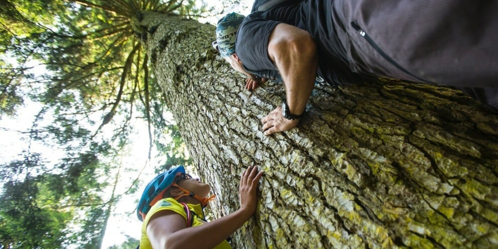 Bagno in foresta, Alpe Cimbra