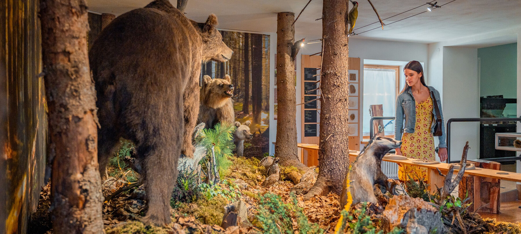 Museo Lusérn: cosa fare e cosa vedere per scoprire i cimbri