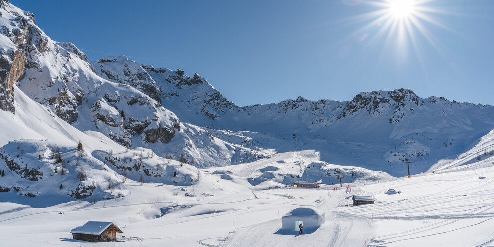 Auf den Spuren der Bergtiere im Ciampac