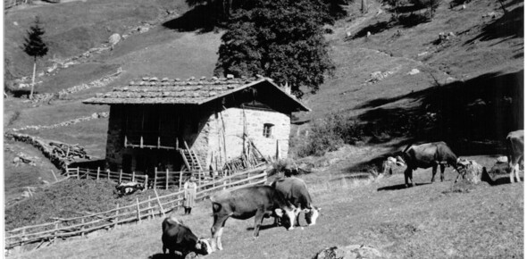 Musilovo Trentino | © Istituto Culturale Mocheno - Thien Günther 