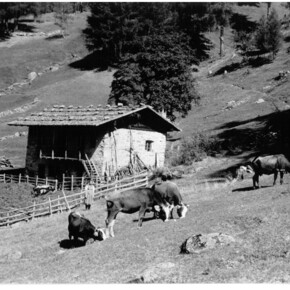 Het Trentino van Musil | © Istituto Culturale Mocheno - Thien Günther 