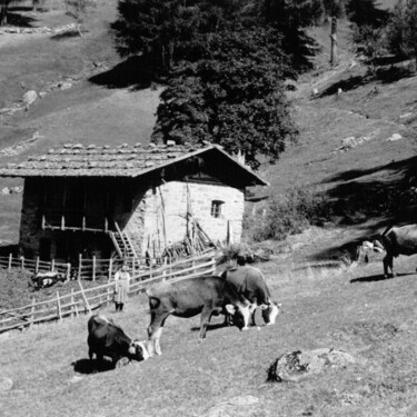 Robert Musil a Začarované údolí: kde se zrodila povídka „Grigia“  | © Istituto Culturale Mocheno - Thien Günther 