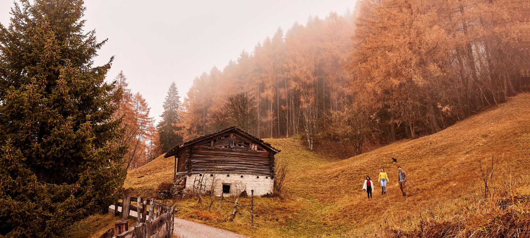Buttern auf dem Berghof – ein Alltagsritual vergangener Zeiten 