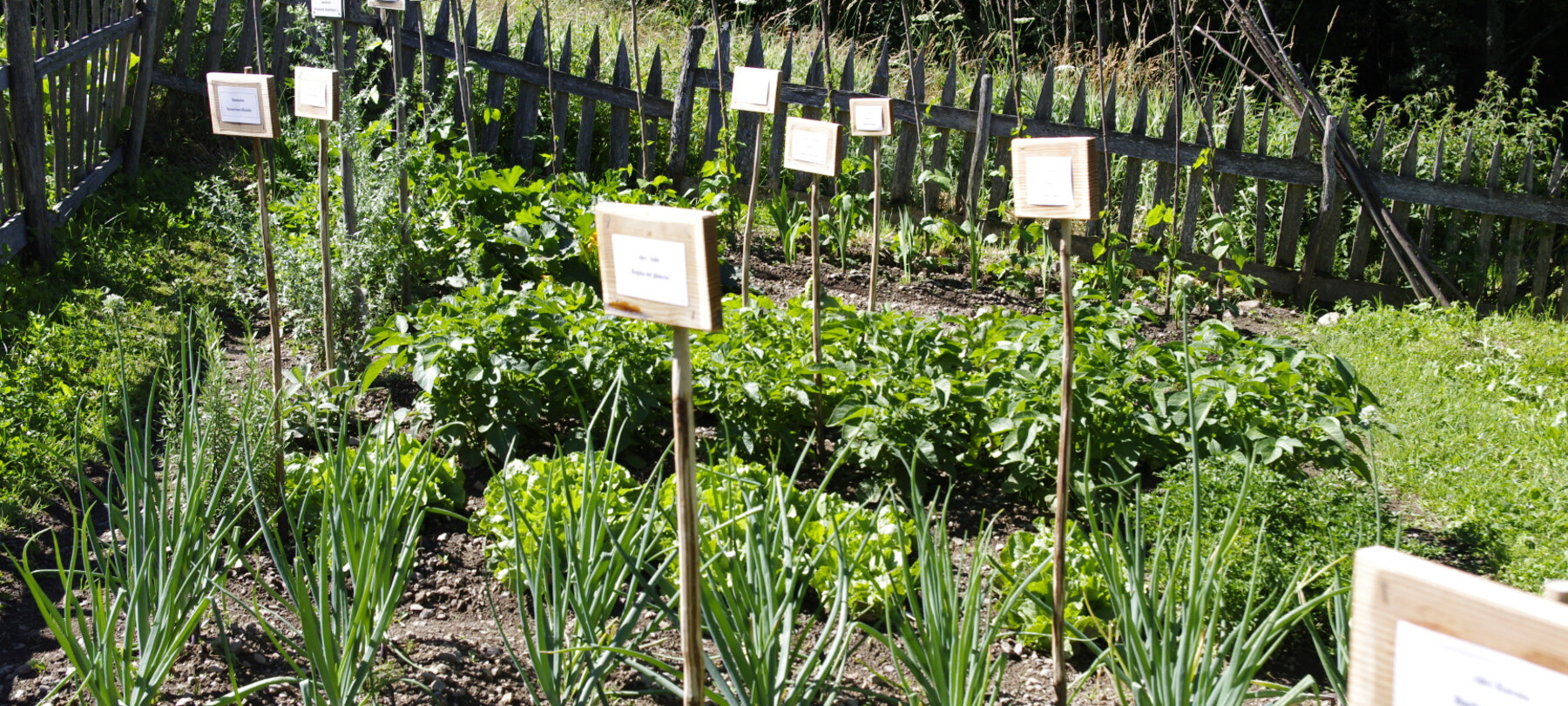 W Valle dei Mòcheni każde gospodarstwo ma cenny ogród