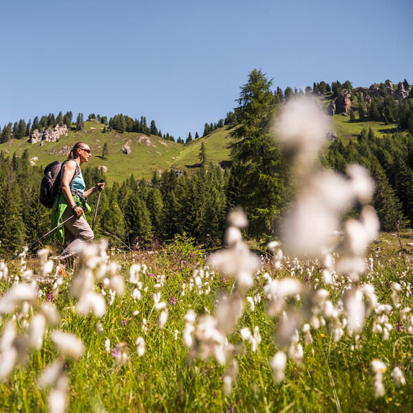 8 nenáročných procházek letní přírodou