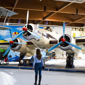 Cosa c’è di nuovo al museo? 
