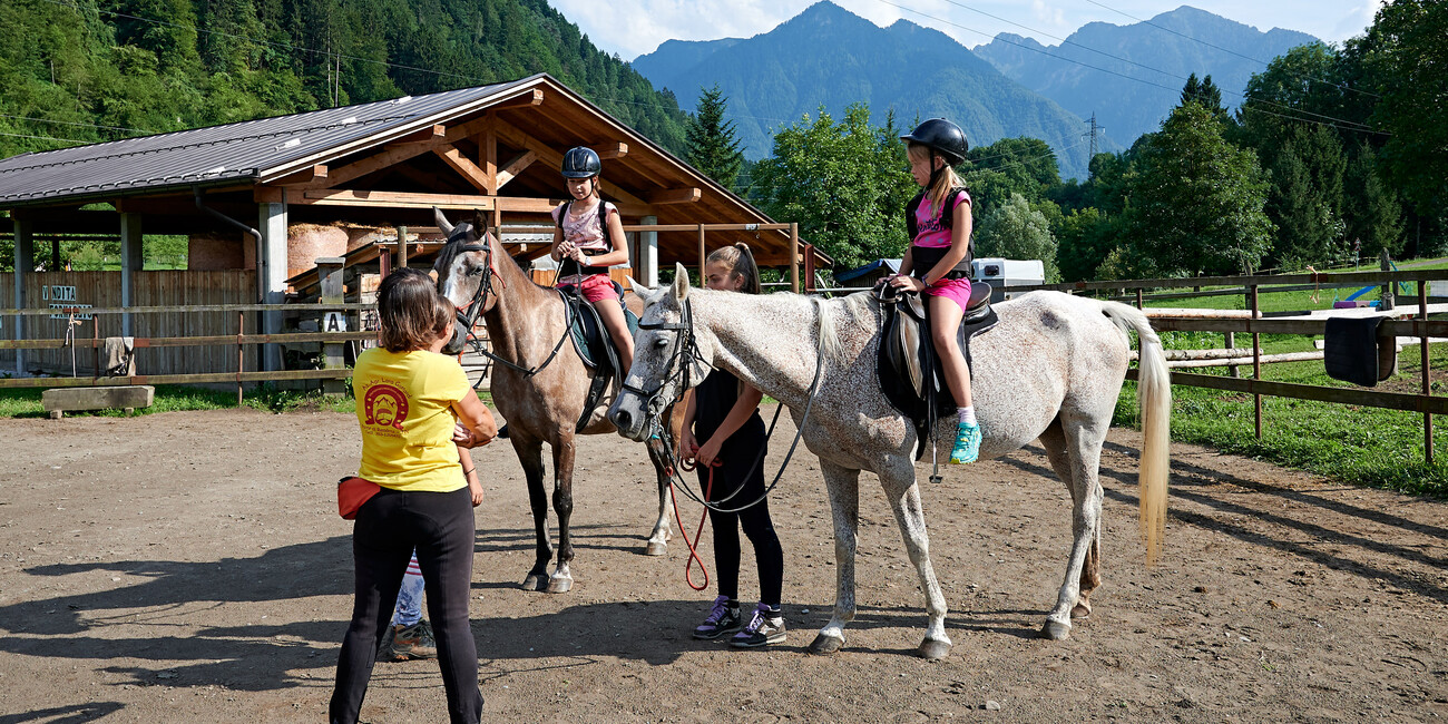 Maneggio e centro equestre - Azienda agricola Gottardi Lara #1