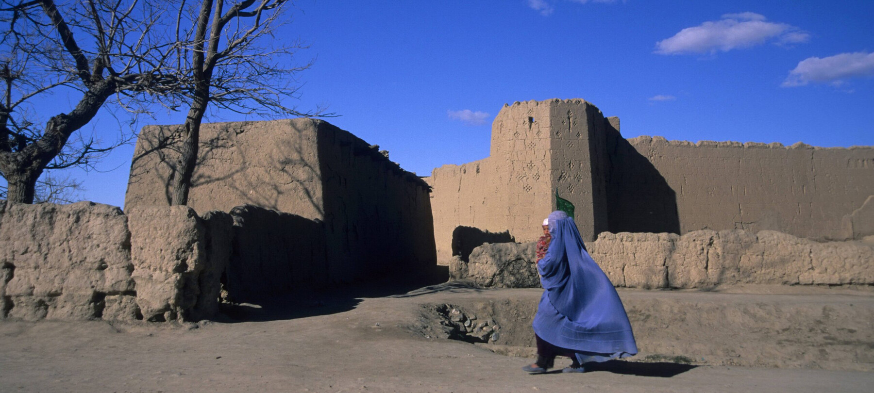 Mostre in Trentino | Trento, Rovereto e alte località