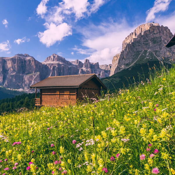 10 reasons to visit Trentino in spring