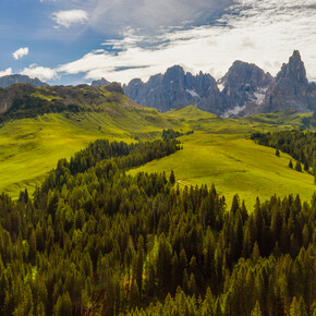 Val di Fiemme - Paneveggio - Bosco - Foresta - Pale di San Martino | © Luciano Gaudenzio