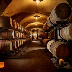 Wine cellars with Rooms