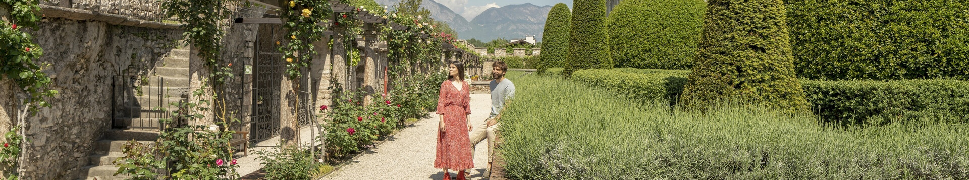 Was gibt’s zu sehen im …