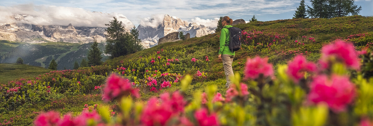 Olympischen und Paralympischen Winterspiele Milano Cortina 2026 im Val di Fiemme, in Trentino 