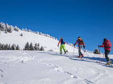 Skiarea Folgaria-Fiorentini