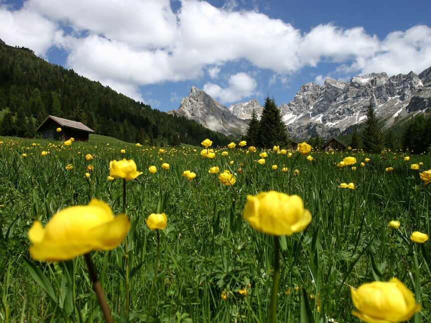 Rete di Riserve della Val di Fassa | © Archivio Immagini ApT Val di Fassa - Foto di Nicola Angeli