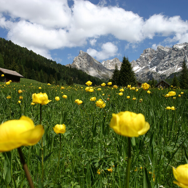 Reservatnetz - Val di Fassa | © Archivio Immagini ApT Val di Fassa - Foto di Nicola Angeli