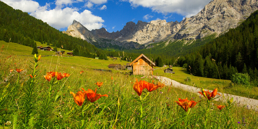 Besuch des Netzwerks von Schutzgebieten im Val di Fassa | © Archivio Immagini ApT Val di Fassa - Foto di Nicola Angeli