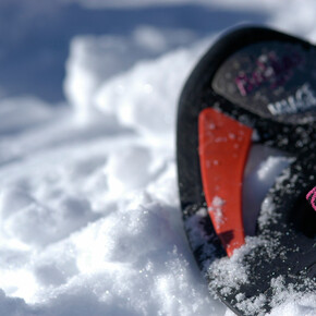 Snowshoeing - On the Roncegno mountain