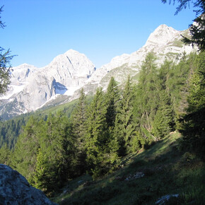 In MTB ai piedi del Monte Corno nel Parco Naturale Adamello Brenta