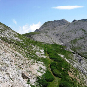 Ascent to Monte Carega