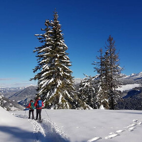 Dosso di Costalta von Dorf Miola im Winter