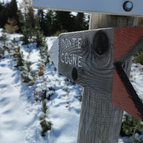 Trekking zum Monte Cogne im Winter