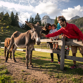 In das Herzen der Brenta Dolomiten